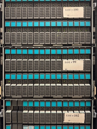 STORAGE ARRAY WITH 30X 300GB 10K HARD DRIVES (DELAYED PICK UP TILL 5/23/25)