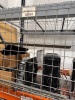 (LOT) ASSORTED COMPUTERS, MONITORS, PRINTERS, (FOR PARTS) - 2
