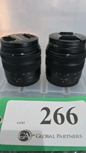 LOT OF 2, LUMIX 14-42mm LENSES