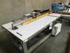 1989 HENDRICK&nbsp;VERTICAL PANEL SAW, S/N: 1411<br /> - 5