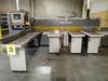 1995 GABBIANI PANEL SAW, S/N: 1494 WITH CUSTOM EXTENDED CONVEYOR SYSTEM, 220V 60Hz - 5