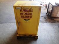 1 ASSORTED FLAMMABLE CABINET 12 GAL CAPACITY