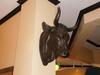 METAL BULL HEAD PROP (24" X 21") - (LOCATION: 1ST FLOOR MAIN DINING AREA TOWARDS LOBBY / ENTRANCE) - 2