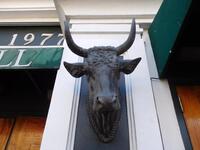 METAL BULL HEAD PROP (22" X 22") - (LOCATION: 1ST FLOOR STRIP ENTRANCE / PATIO)