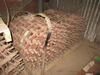 LOT (12) CHAIN GRATE 48FT X 8INCH AU-327-D147, PT#980-1363500147, (ITEM CODE 45601000), (LOCATION: CHEMICAL WAREHOUSE NEXT TO RECEIVING) - 2