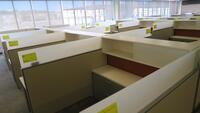 LOT OF 8 ARRANGED HIVE STYLE, HERMAN MILLER "CANVAS OFFICE LANDSCAPE" CUBICLES, BASIC CONFIGURATION AS FOLLOWS: 6' X 6' FOOTPRINT EACH, FT110 FRAMES, FT117 ARCHITECTURAL FEET, FT160 FINISHED ENDS, FT114 FRAME TOP SCREENS, FT128 CONNECTORS, FT380 FRAME TIL