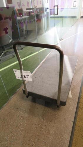 FLAT CART, PLASTIC DECK., DELAYED PICK UNTIL AFTER JULY 25TH.