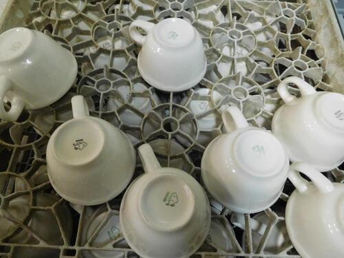 (160) BUFFALO TEA CUPS (THAI CAFâ€¦ KITCHEN)