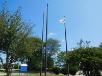 (3) Flag Poles