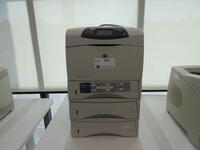 HP LASERJET 4250N, (2ND FLOOR)