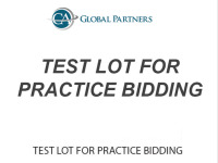 Test Lot For Practice Bidding