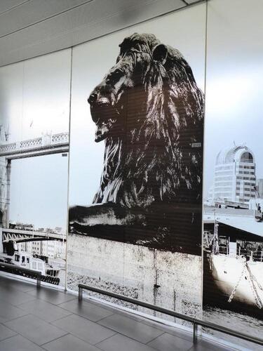Large Trafalgar Square Lion Printed Glass Panel