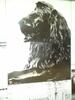 Large Trafalgar Square Lion Printed Glass Panel - 6